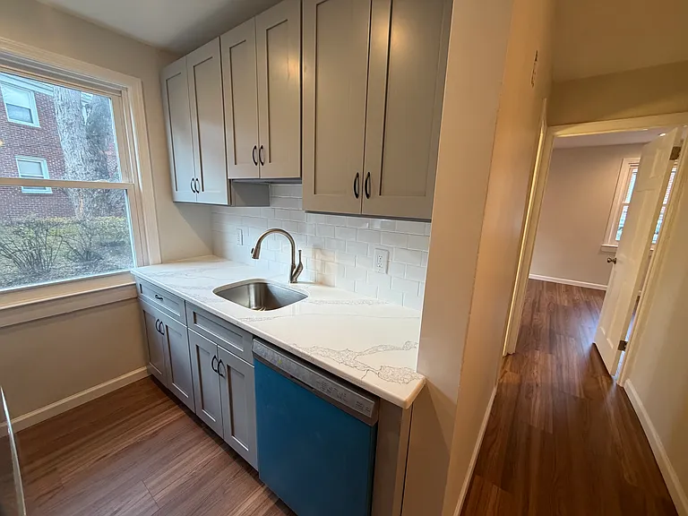11 S Carpenter Ter #1L — Photo 5