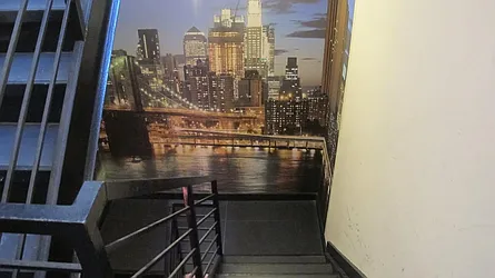 Rented by P Management