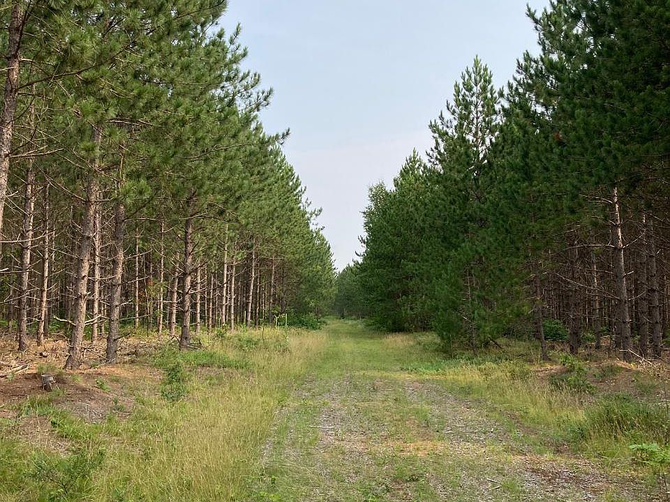 2nd image of On Little Rice Dam Rd