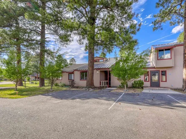 217 Pinon Causeway #3002, Pagosa Springs, CO 81147