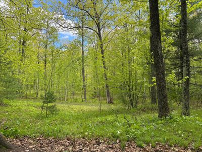 3114 S Rifle Rd, Rhinelander, WI, 54501