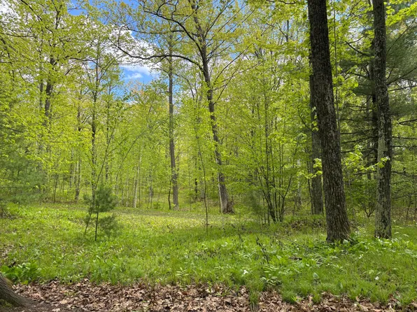 3114 S Rifle Rd, Rhinelander, WI 54501