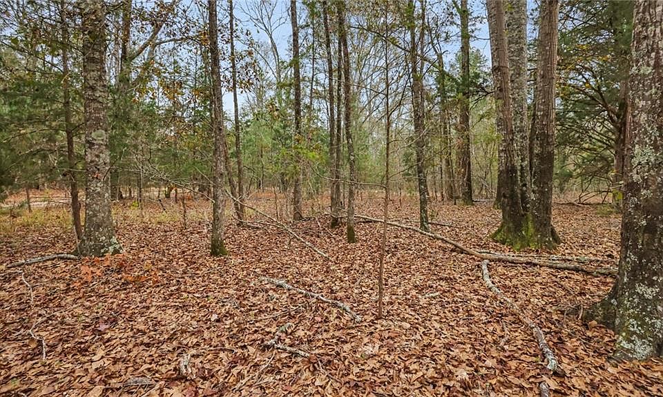 923 Hunter Rd Ellaville GA Zillow