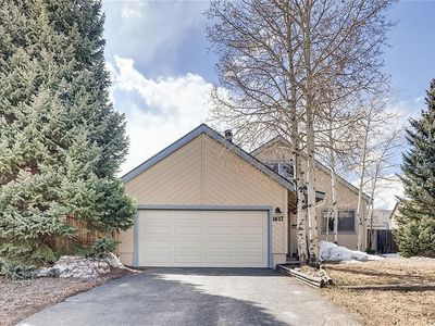1617 N Badger Ln, Silverthorne, CO, 80498