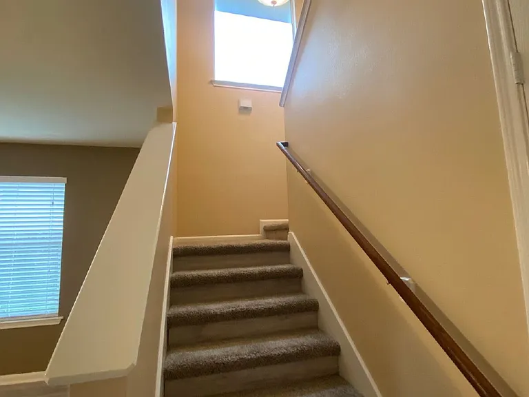 19162 Yellow Thrush Dr — Photo 22