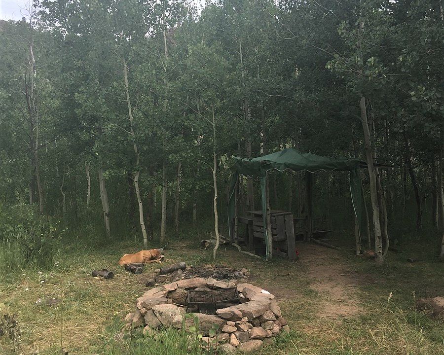 2nd image of 53 Ada Ct