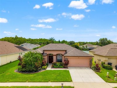 3246 Brenford Pl, Land O Lakes, FL, 34638
