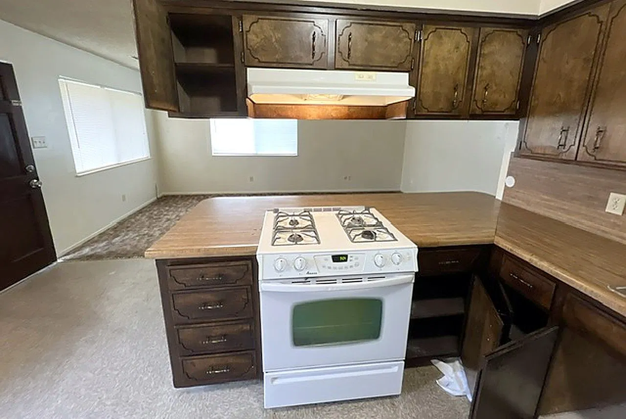 1 bed, $1,100 — Photo 4