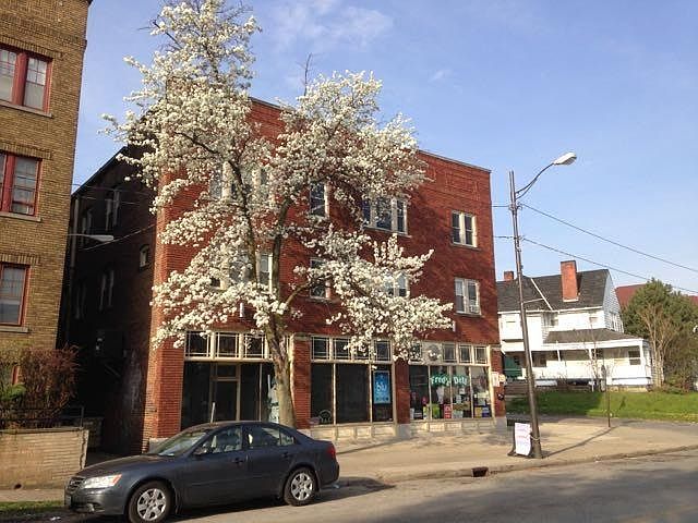 1st image of 1411 W 112th St APT 3
