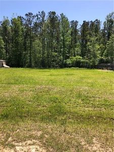 S Falcon Dr, Ponchatoula, LA, 70454