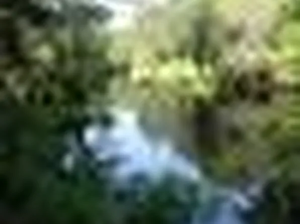 32310 Ridge Manor Blvd, Dade City, FL 33523