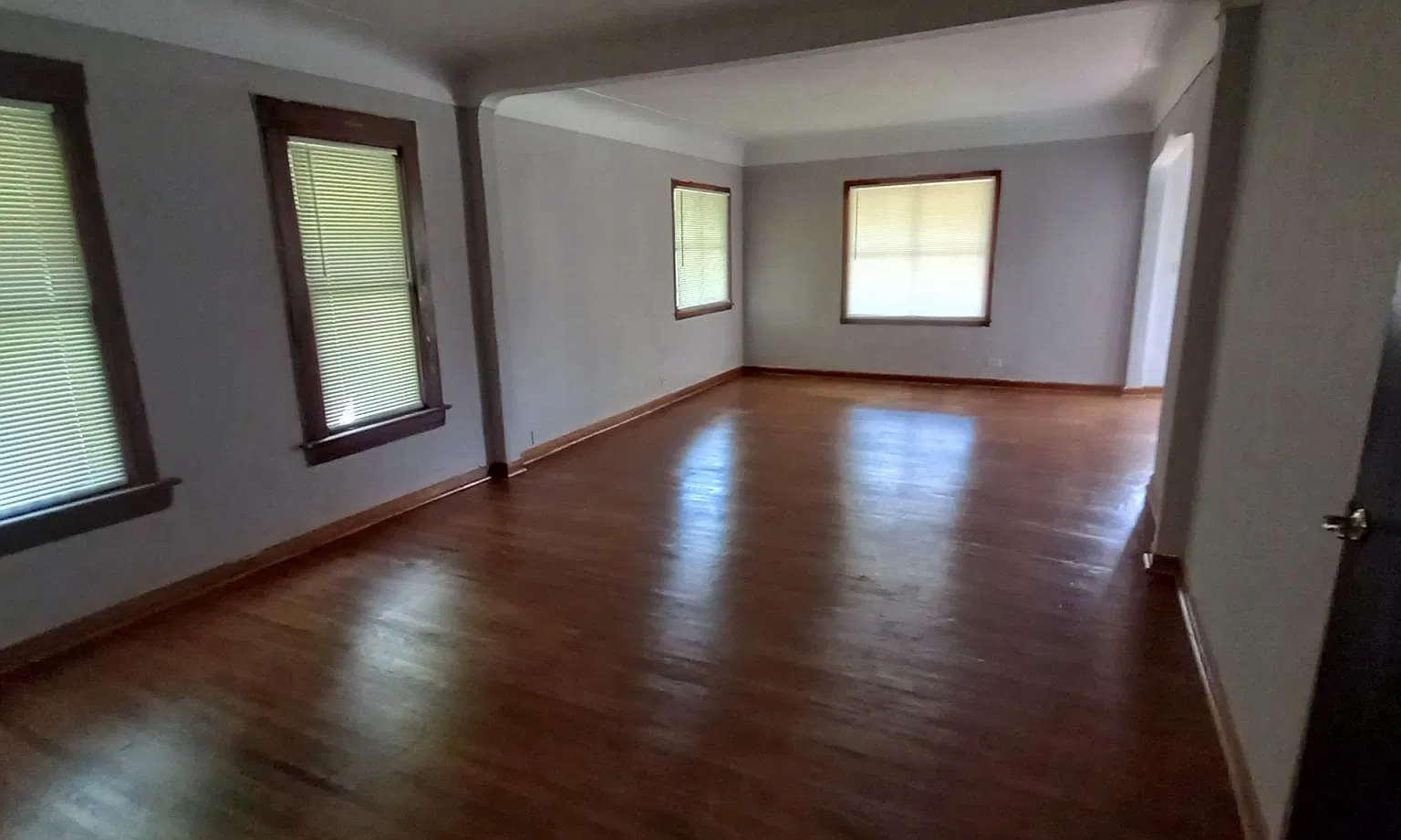1303 Camp St — Photo 2