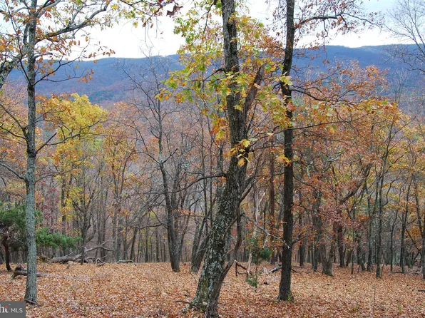 183 Lockinger Ridge Rd, Moorefield, WV 26836