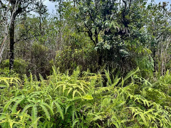 Road 6 Ooaa Lot 4450, Kurtistown, HI 96760