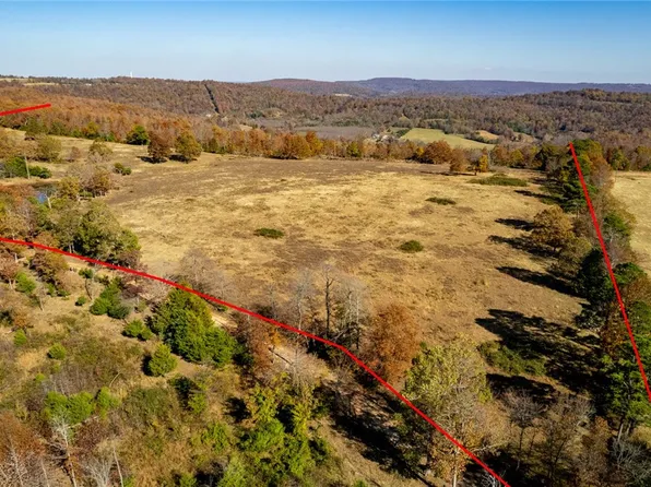 391 Foothill Ln, Marshall, AR 72650