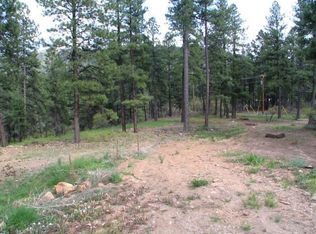 98 Clear Creek Loop, Durango, CO 81301