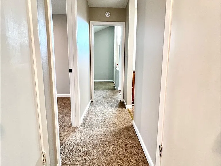 5728 McDougal Dr — Photo 13