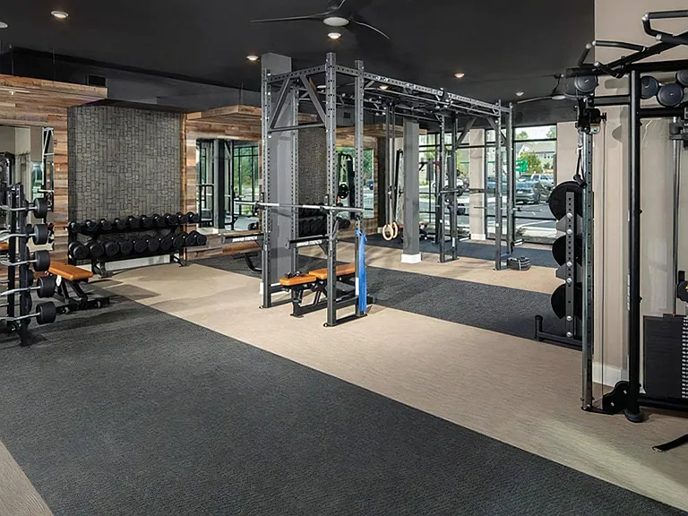 Fitness Studio with Cardio and Strength Machines