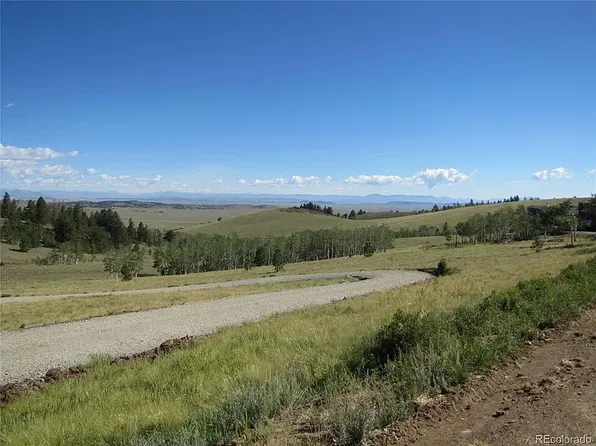 8575 Ranch Rd, Hartsel, CO 80449