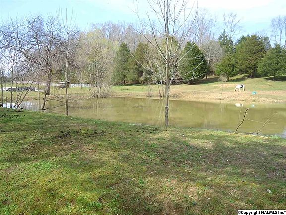 5th image of 9205 Elkton Pike