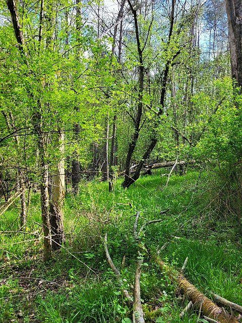 2nd image of 0 Keating Ave