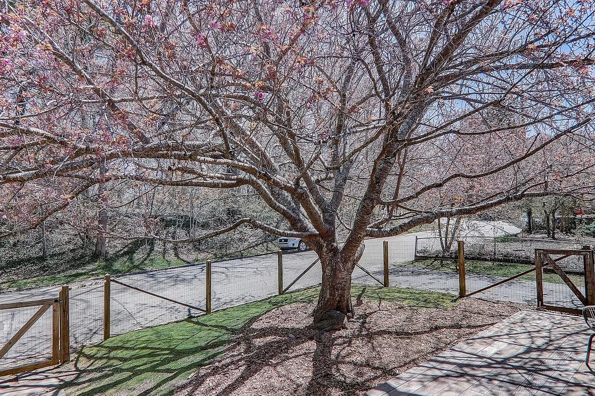 286 Cumberland Ave — Photo 4