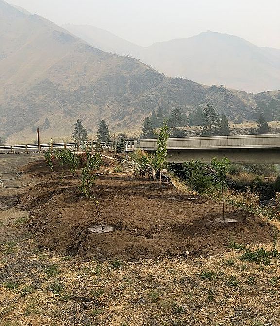 104 Race Creek Rd, Riggins, ID 83549 Zillow