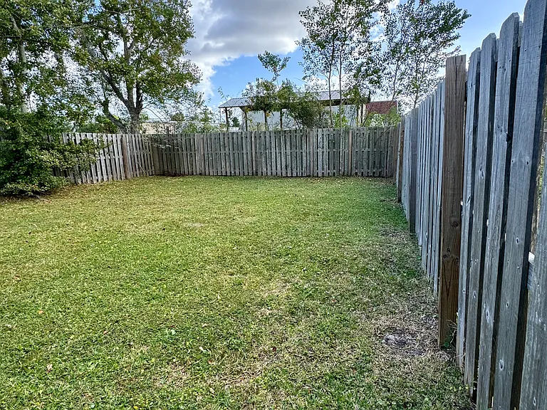 Backyard, privacy fence
