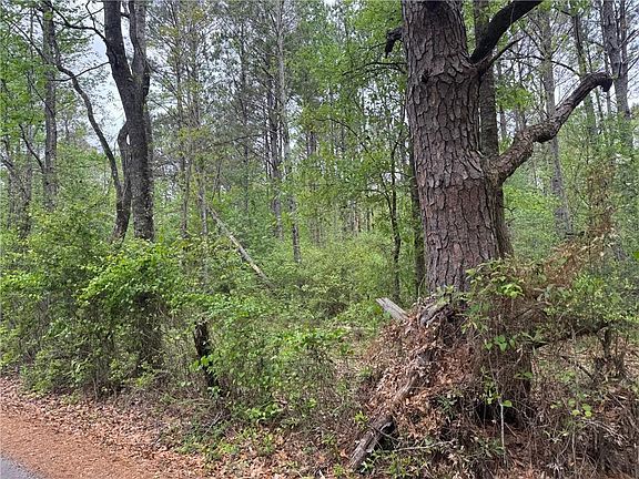 3rd image of 0 Pine Hollow Rd