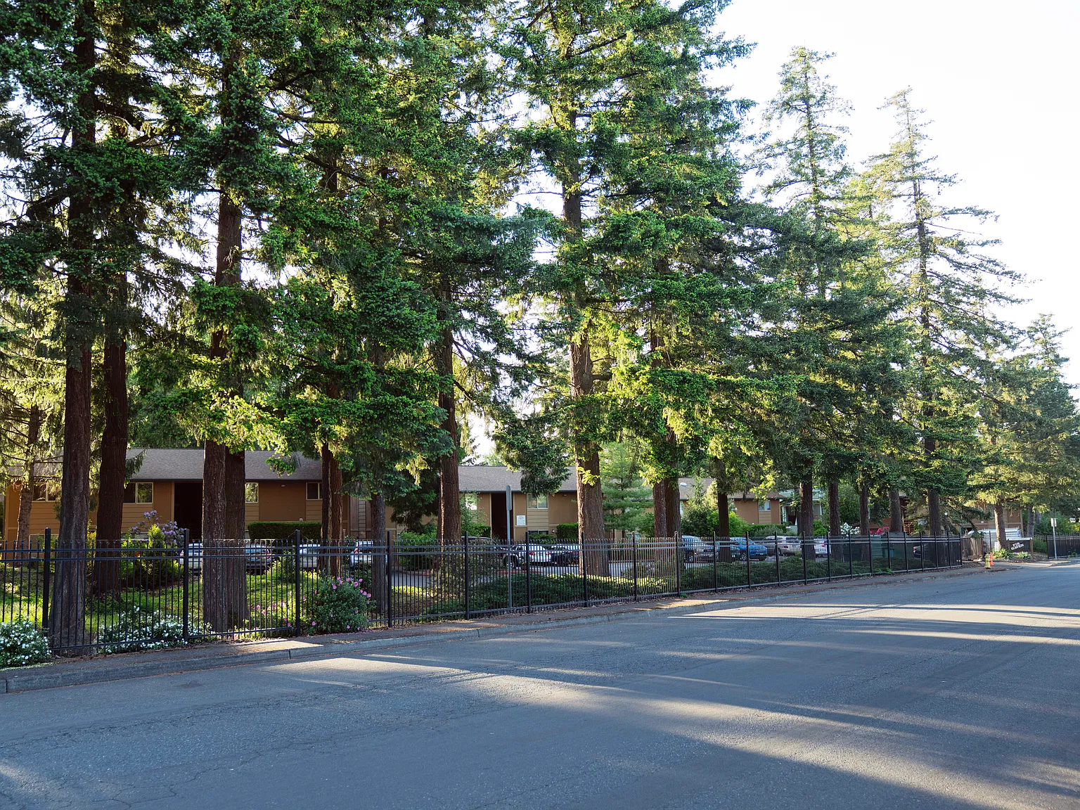 Fir Haven Apartments — Photo 2
