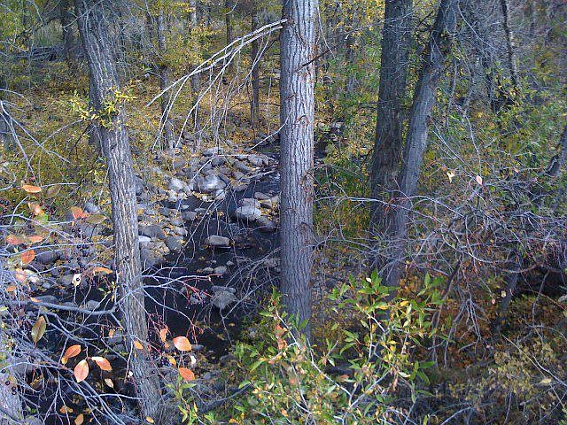 Creek runs in front of lot