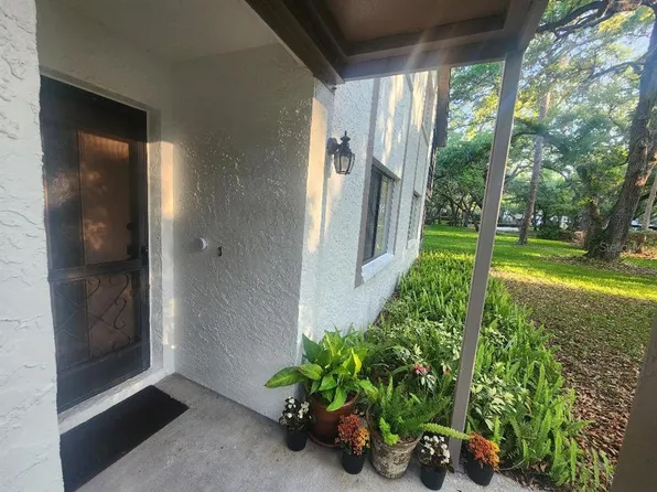 603 Baldwin Ave APT B, Safety Harbor, FL 34695