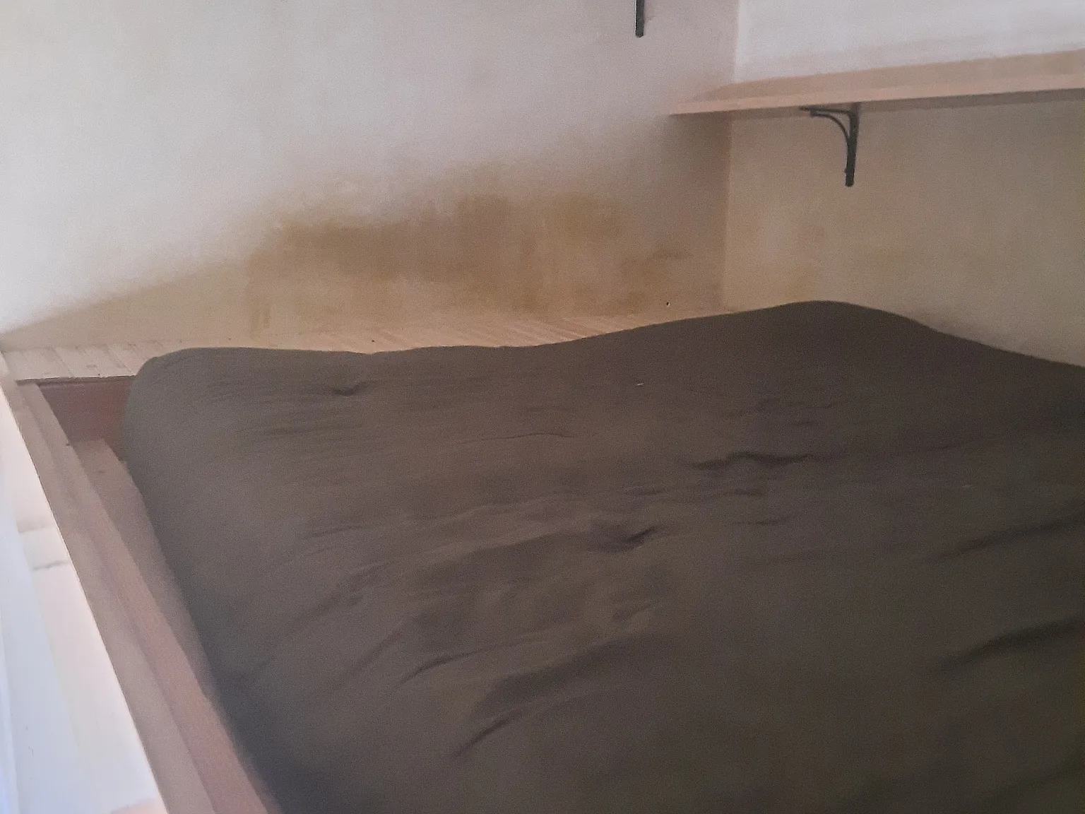 Studio, 284 sqft, $900 — Photo 3
