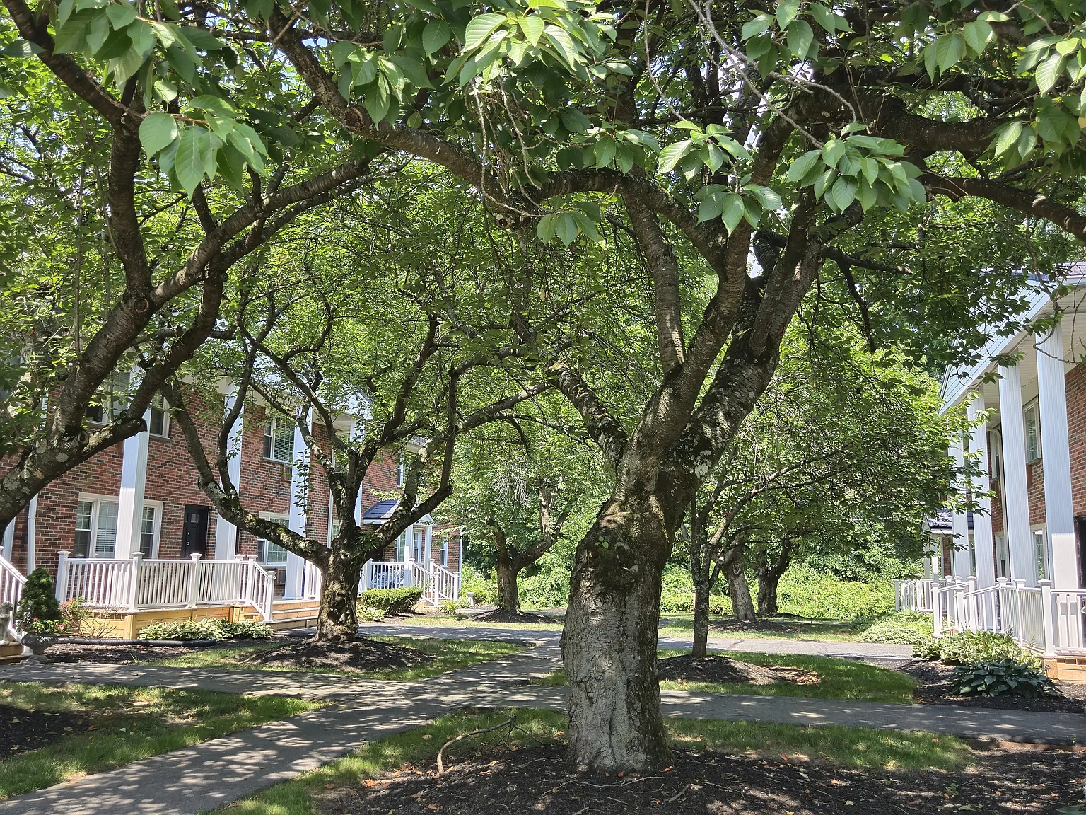 LAWRENCEVILLE GARDEN APARTMENTS AND TOWNHOMES — Photo 1