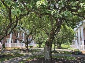 LAWRENCEVILLE GARDEN APARTMENTS AND TOWNHOMES