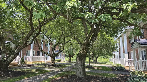 LAWRENCEVILLE GARDEN APARTMENTS AND TOWNHOMES Photo 1