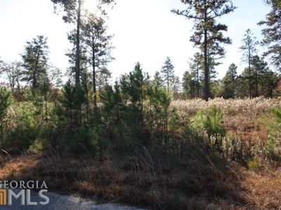 411 Gray Wolf Dr, Macon, GA, 31216