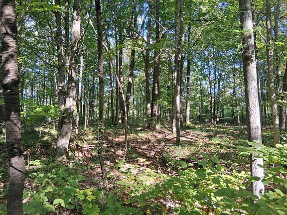 3rd image of 4 National Trail Star Lake Rd