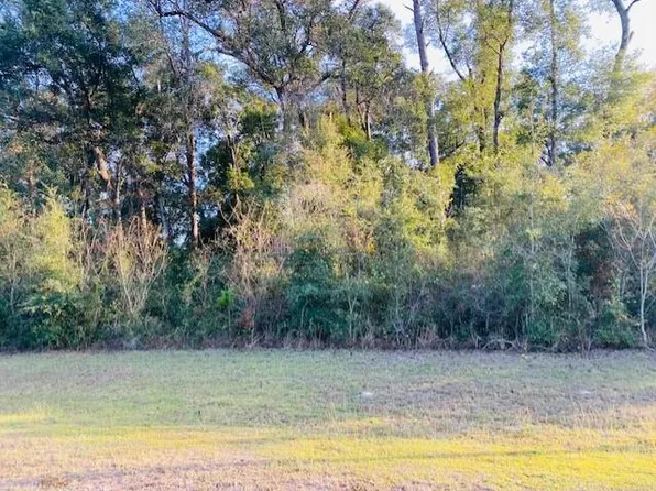  NW 112th Pl, Chiefland, FL 32626