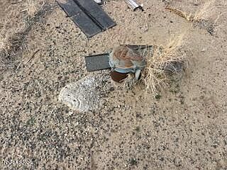 5th image of 9705 Via Segundo