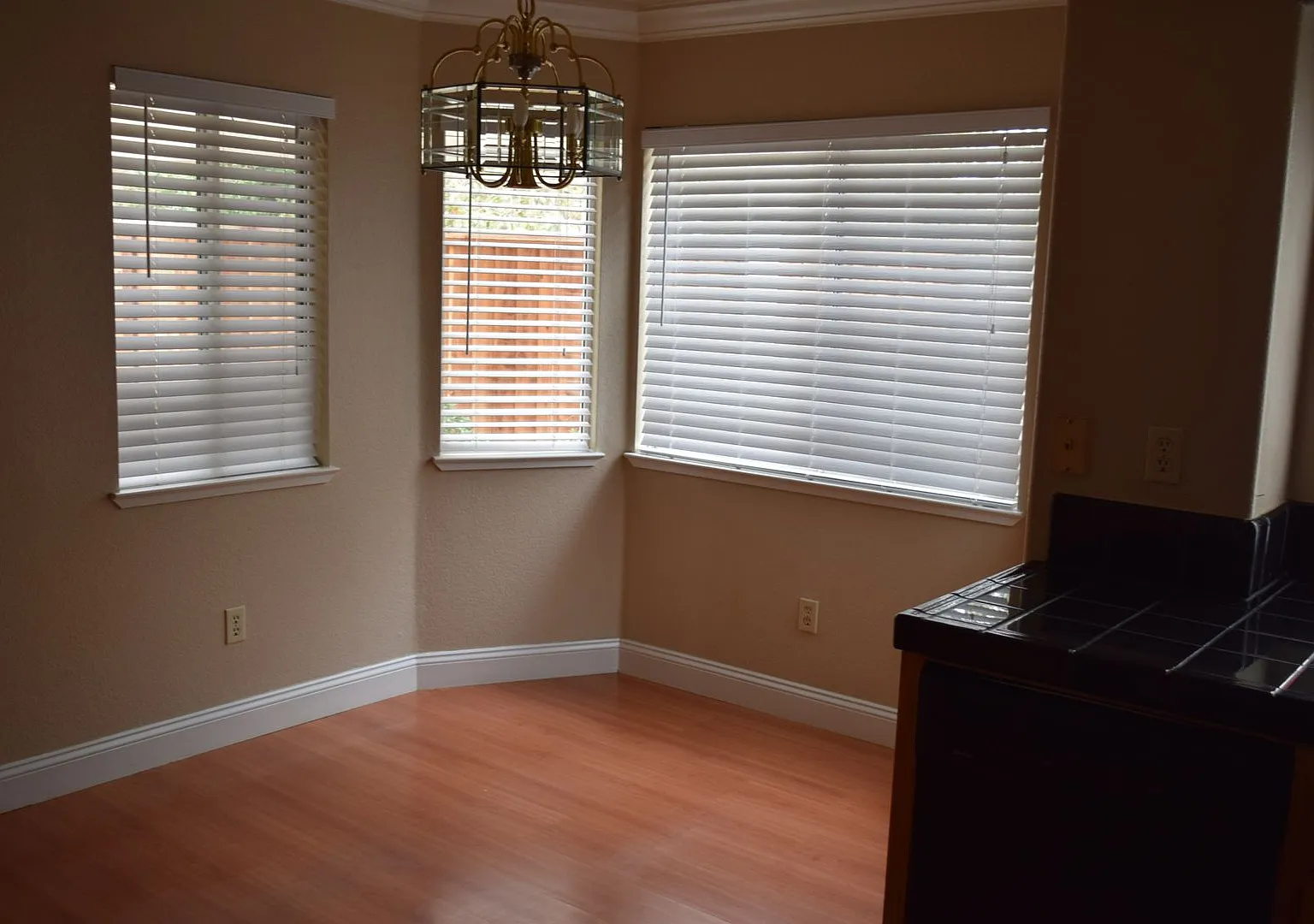 Tracy Home Available for Rent — Photo 4