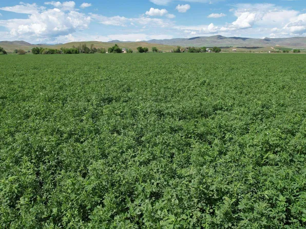 PARCEL 1 Olds Ferry Rd, Weiser, ID 83672