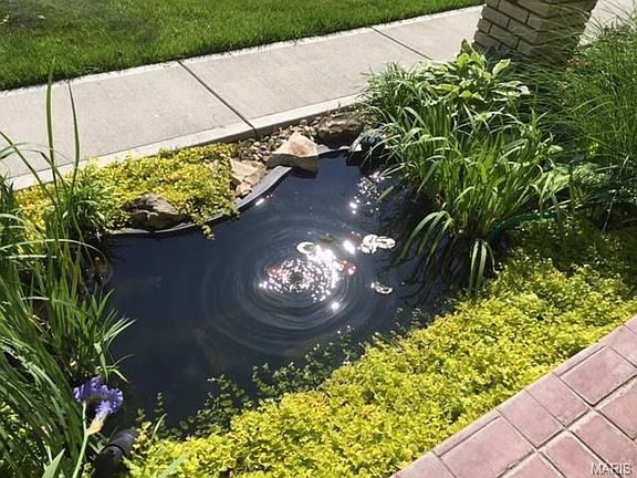 Front fishpond