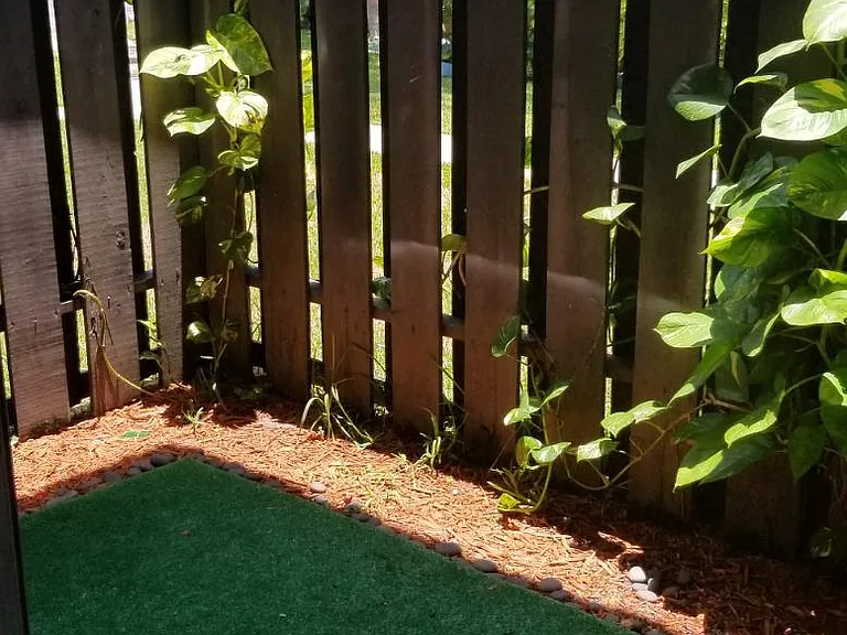 Small patio