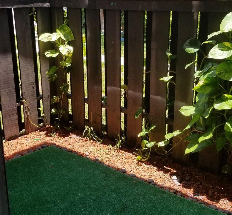 Small patio