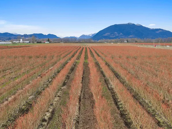 6209 Little St, Abbotsford, BC V3G 1P5