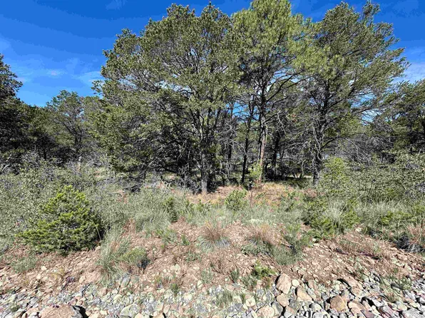 Eldrado Dr, Timberon, NM 88350