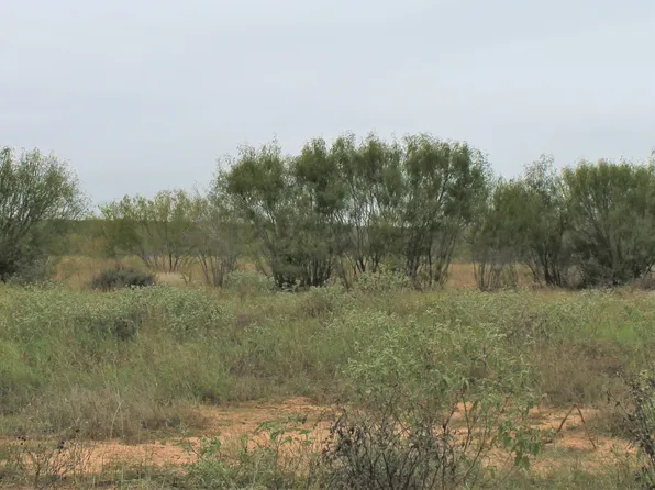 1097 Cr 652 Lot #8, Devine, TX 78016
