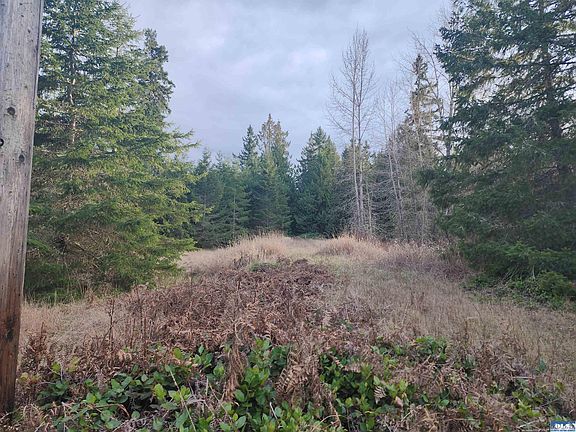 4th image of 0 Lilly Rd