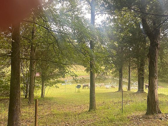 5th image of 2427 Dalton Rd